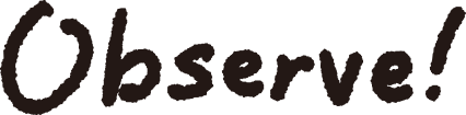 observe！